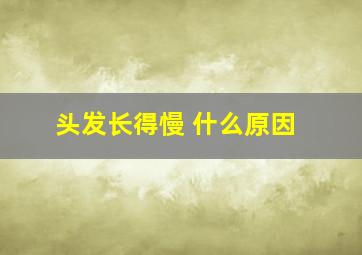 头发长得慢 什么原因